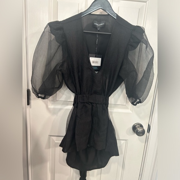 Cynthia Rowley New With Tags Attached Gracie Organza Top in a Size Large - Picture 15 of 16